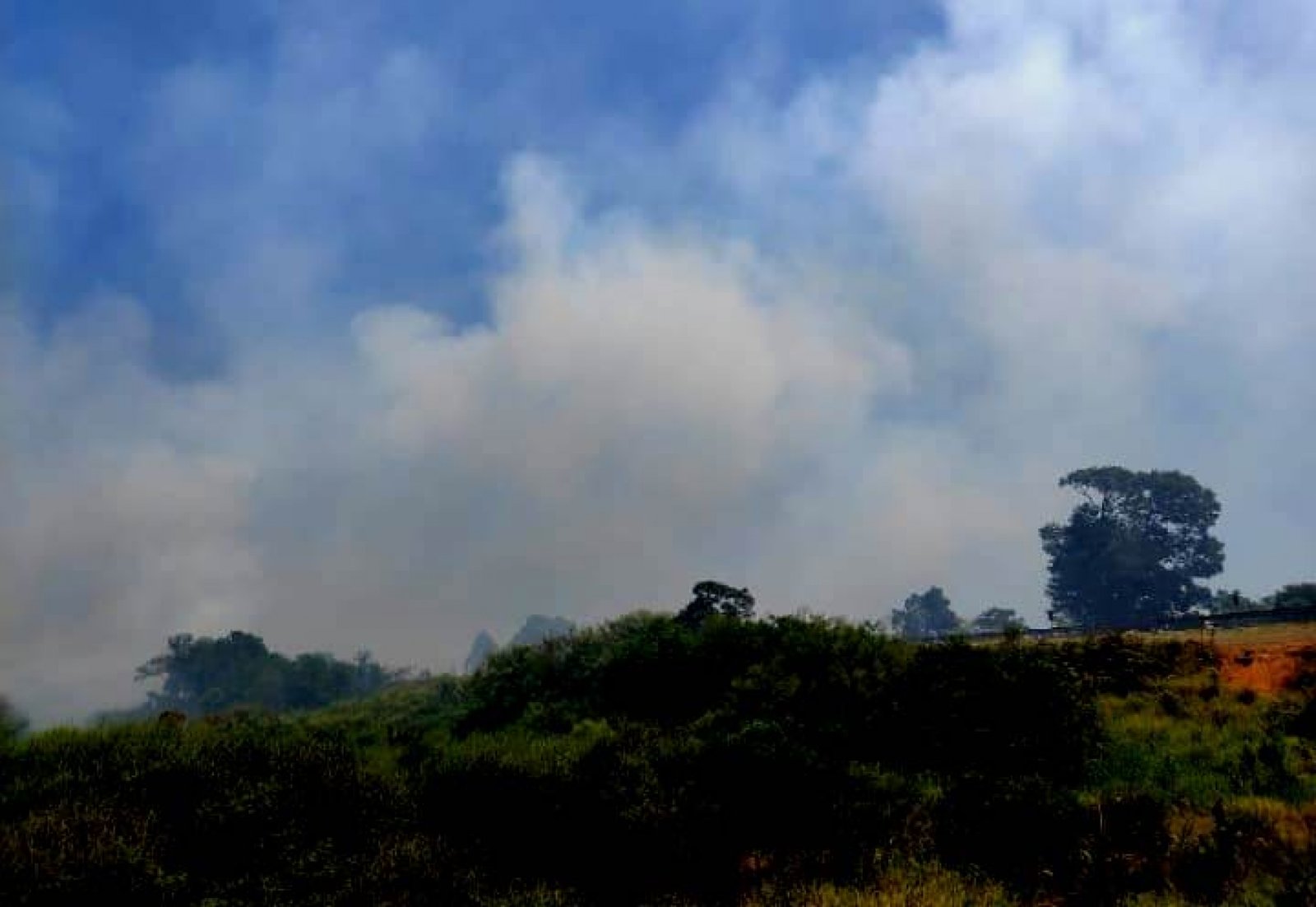 Incêndio na estrada entre Canoas e Nova Santa Rita atrapalha o trânsito