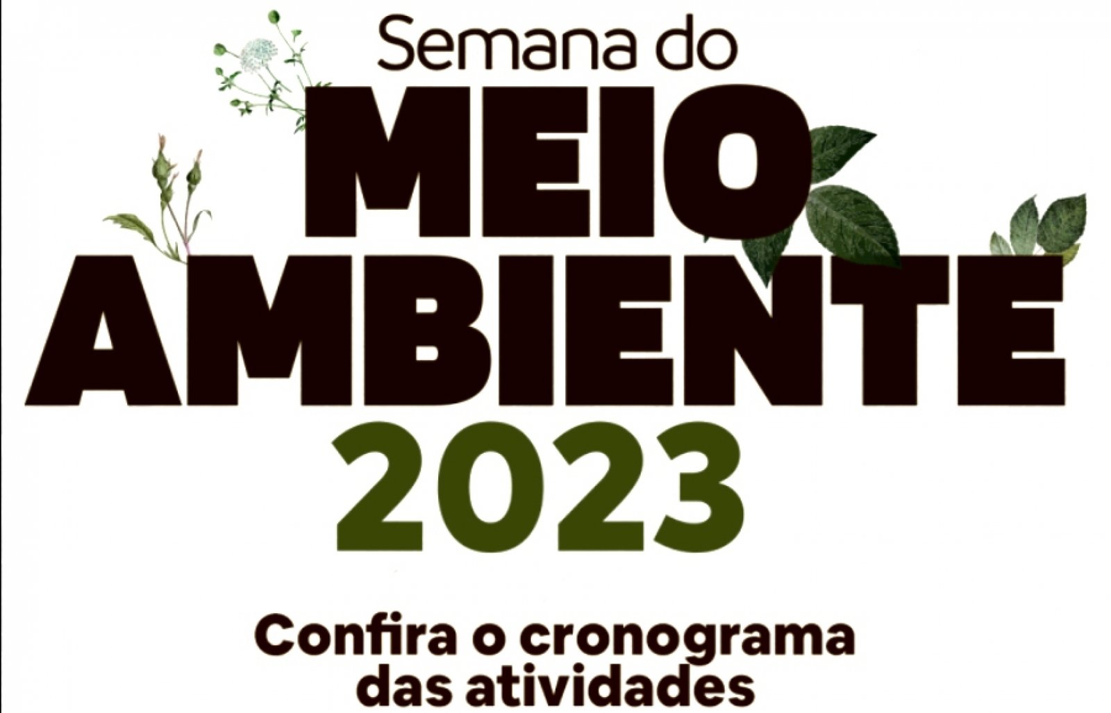 Semana do Meio Ambiente 2023 com várias atividades