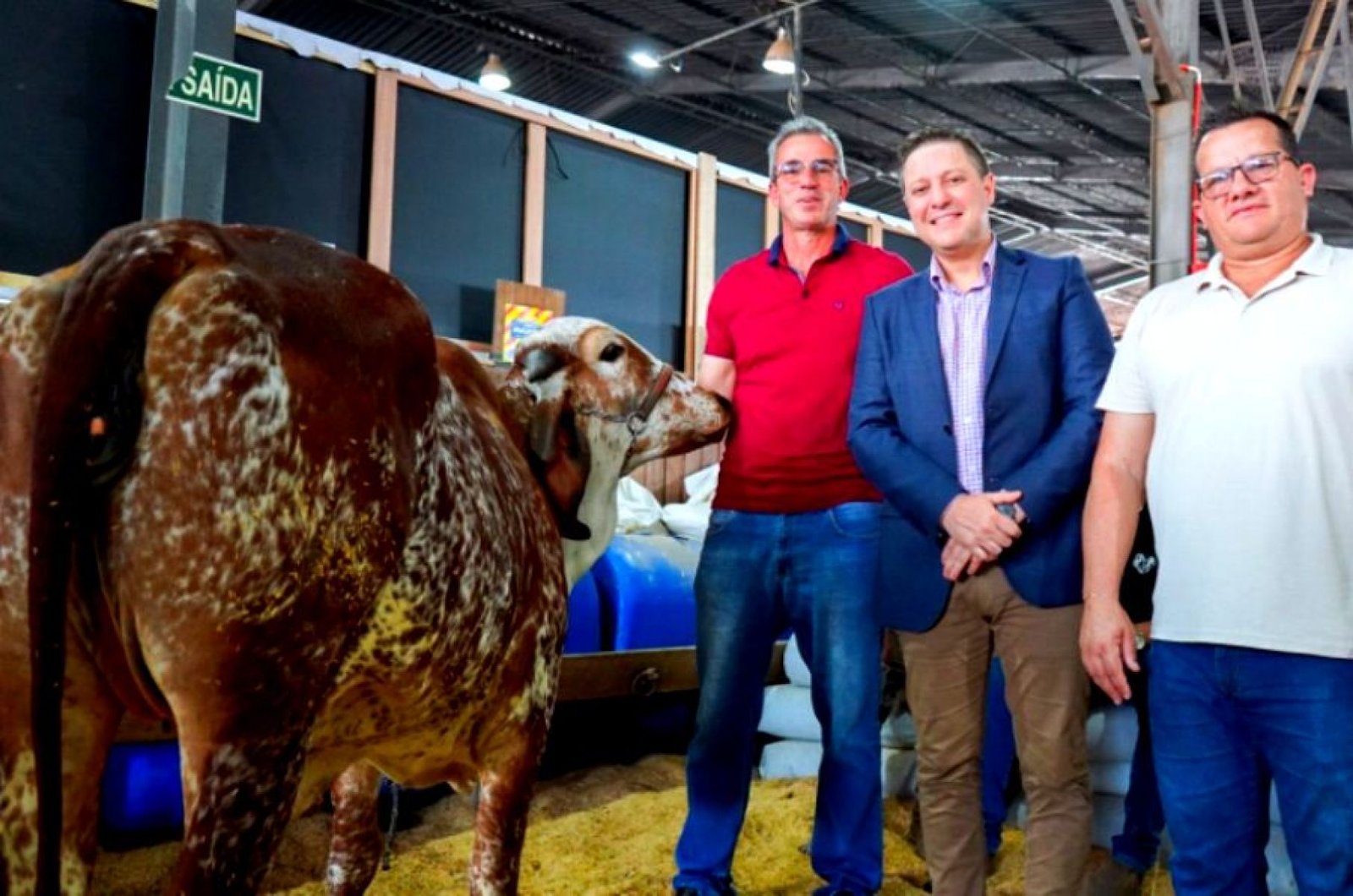 Produtores de Nova Santa Rita foram premiados na Expointer