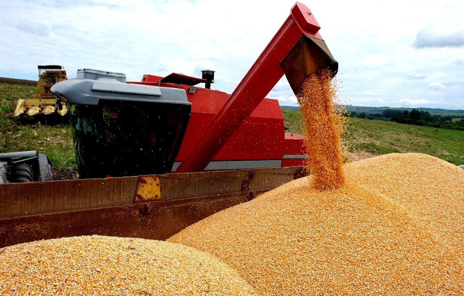  Conab estima produção de 40,18 milhões de toneladas de grãos no RS