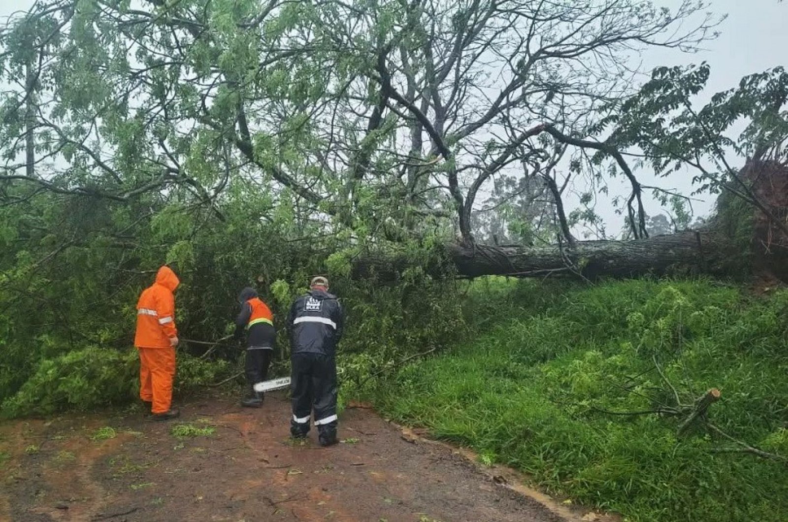 Imagem ilustrativa: Temporal deixa 400 casas destelhadas e causa grandes estragos em Nova Santa Rita