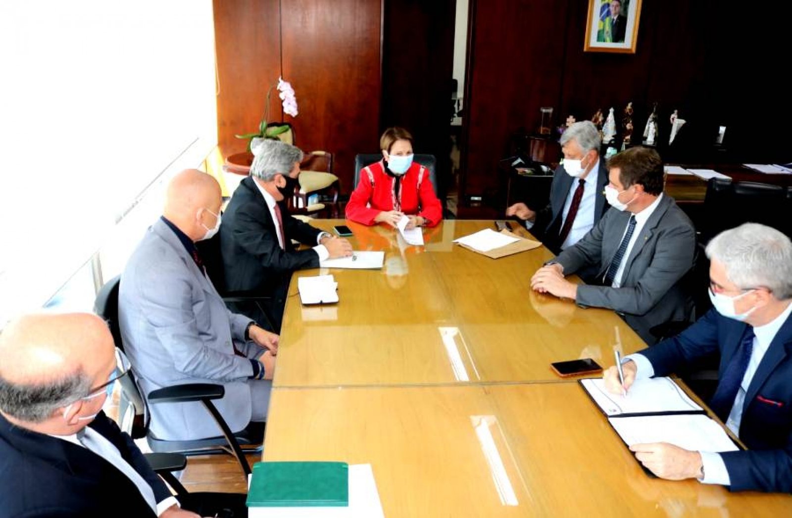 Deputado Ernani Polo esteve em reunião com a Ministra da Agricultura