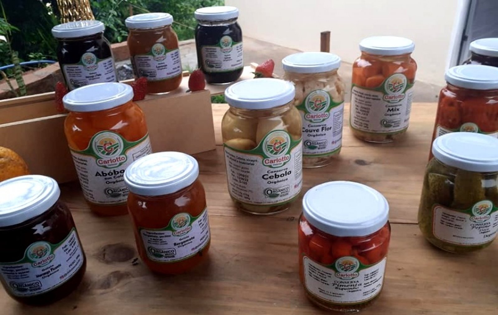 Carlotto Delícias inaugura agroindústria no Vale do Caí