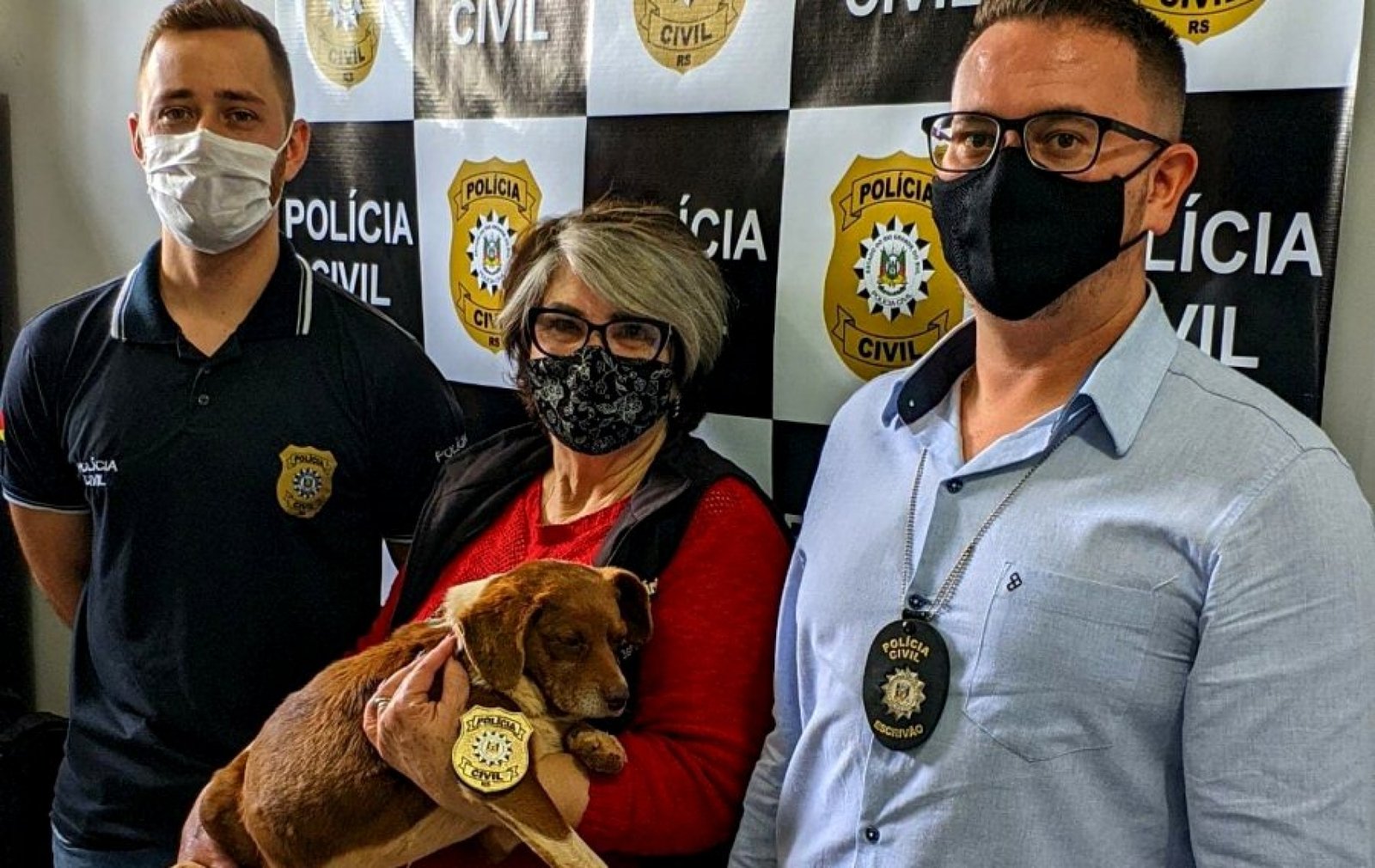 Polêmica pelo sumiço de 3 cães comunitários em Capela