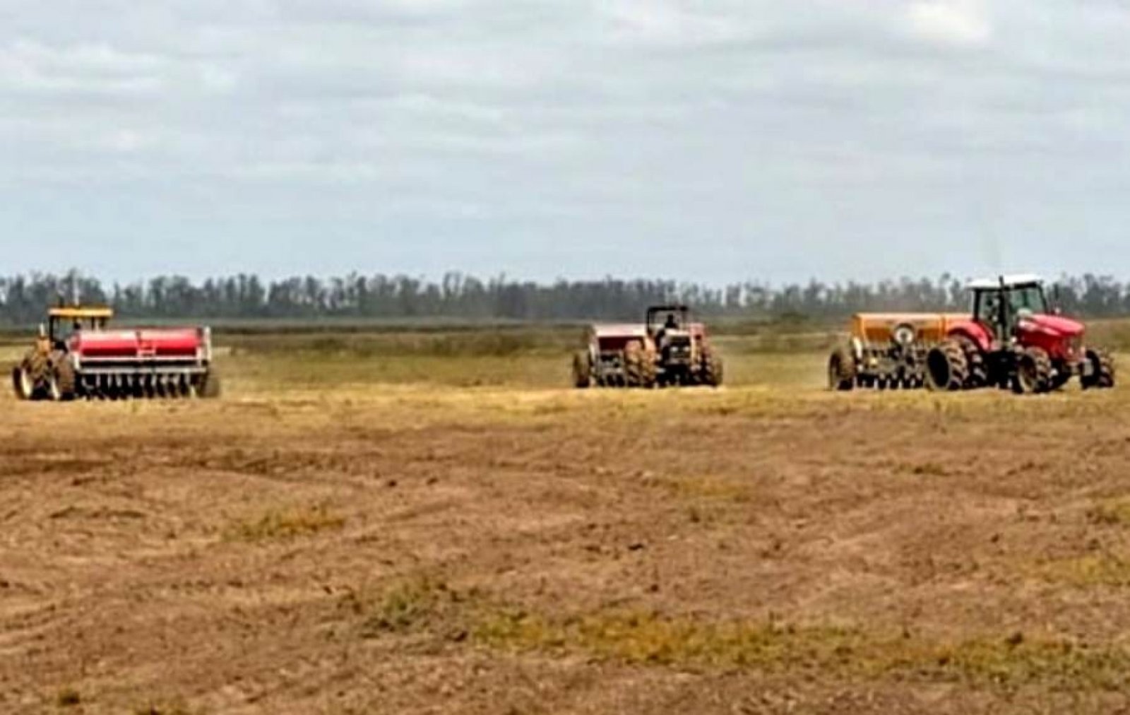 Semeadura de arroz no RS alcança 36 por cento