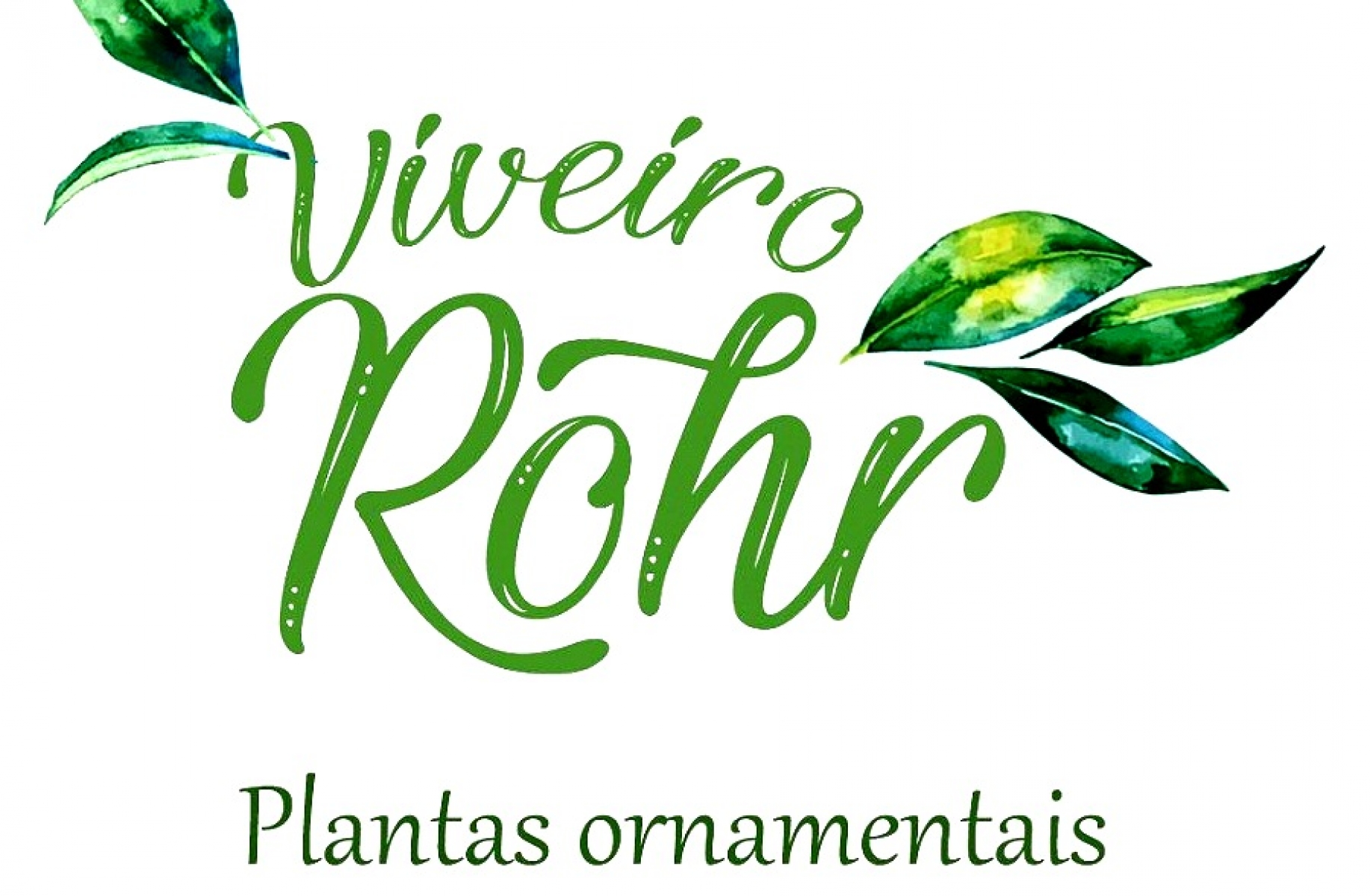 Viveiro Rohr Plantas ornamentais