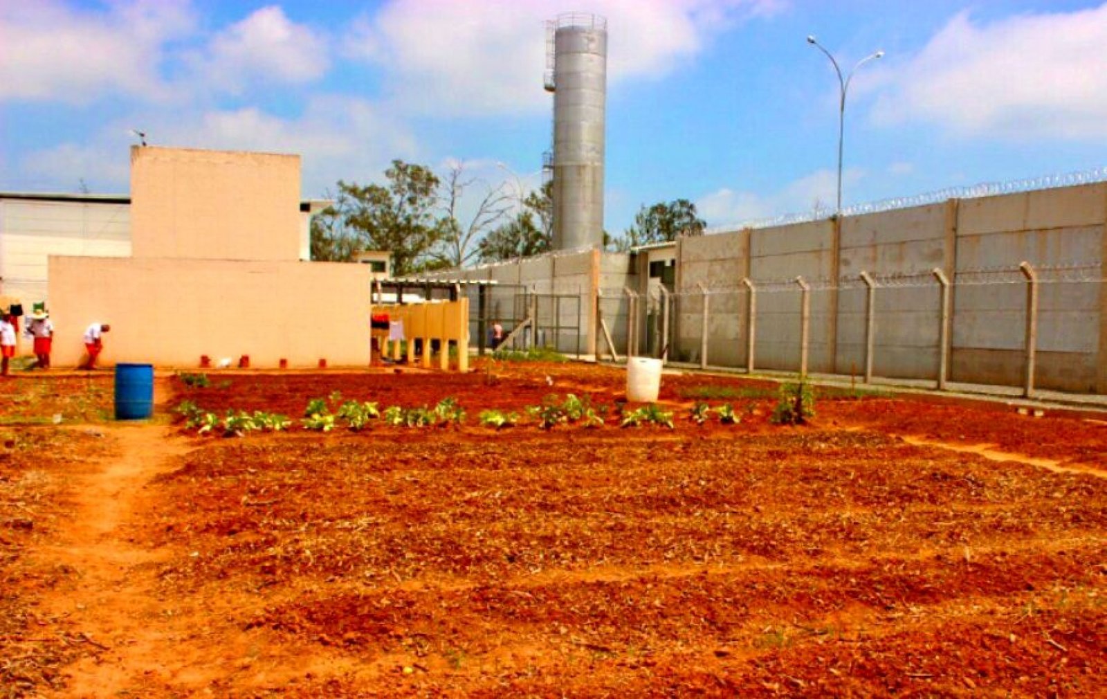 Projeto prevê cultivo de plantas medicinais na penitenciária