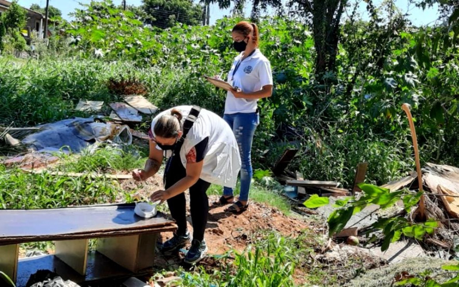 Bairro Senai já contabiliza 10 focos ativos de Aedes aegypti