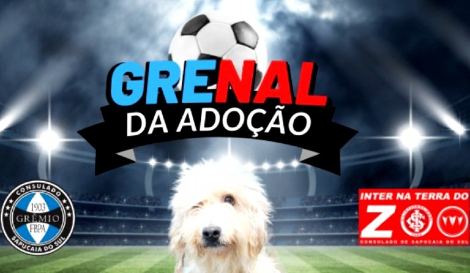 Grenal da adoção de animais